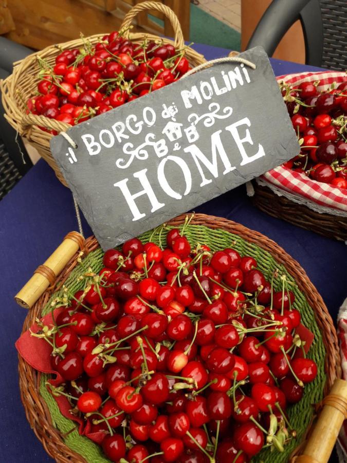 Il Borgo Dei Molini Bed & Breakfast Torreglia ภายนอก รูปภาพ